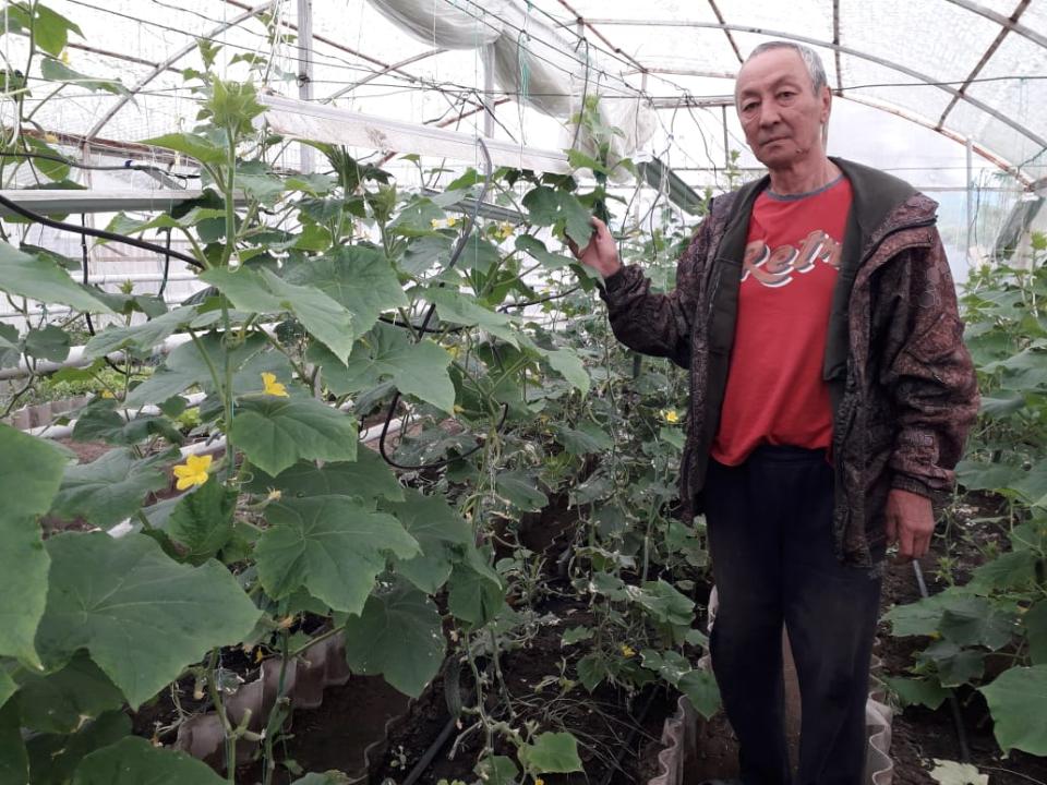 Бастамадан берекеге дейін: «Ауыл аманаты» бағдарламасының жемісті нәтижесі
