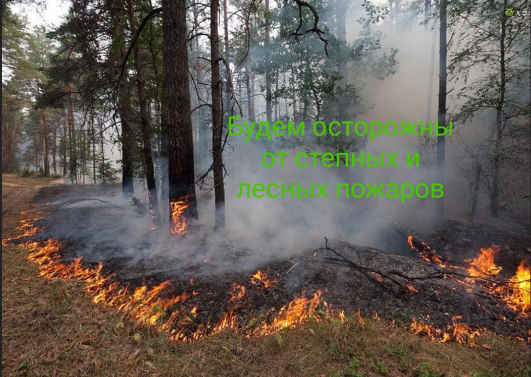 Қаратал ауданының төтенше жағдайлар бөлімі ескертеді: