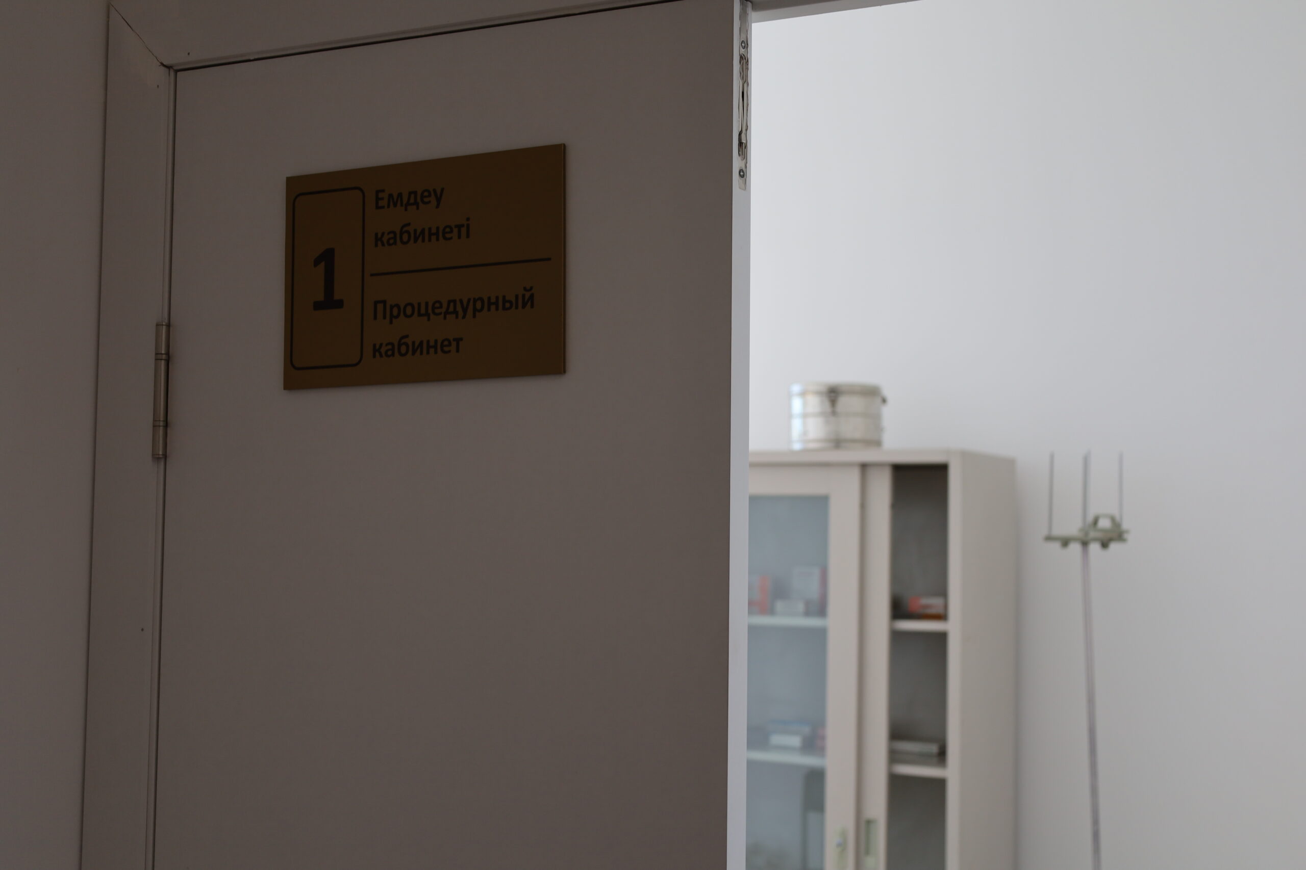 ҮКІМЕТ АППАРАТЫНЫҢ ӨҢІРЛІК ИНСПЕКТОРЫ ЖҰМЫС САПАРЫМЕН КЕЛІП КЕТТІ