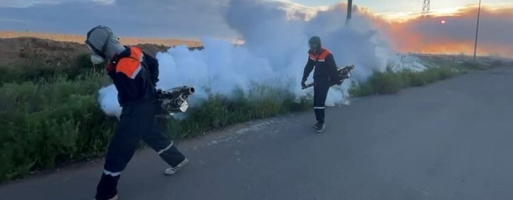 Астанада масаларға қарсы ауқымды дезинсекциялық жұмыс жүргізіліп жатыр