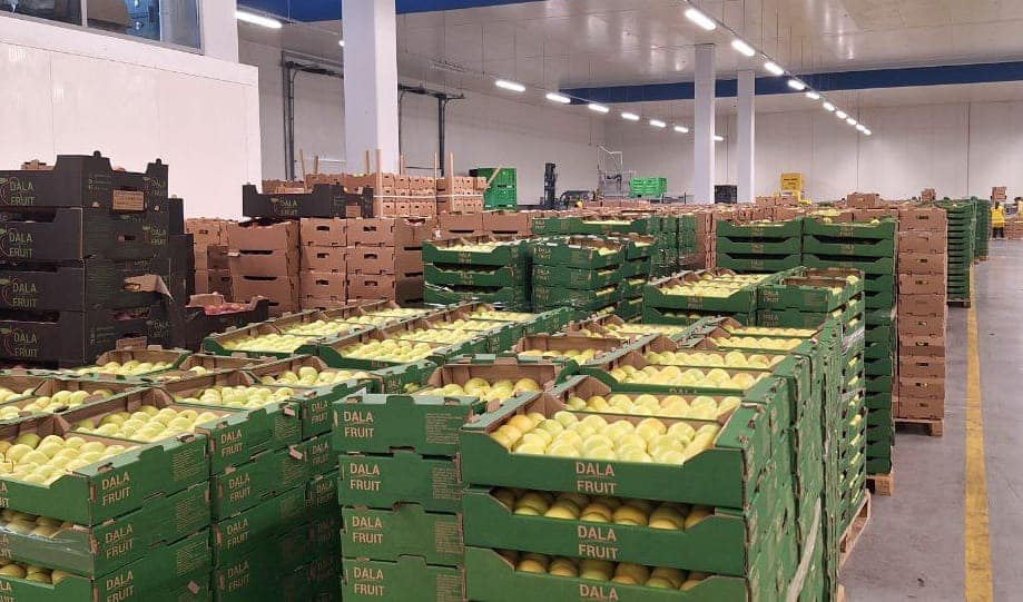 ТҮРКІСТАН ОБЛЫСЫНА БҚО-НЫҢ ДЕЛЕГАЦИЯСЫ ІССАПАРМЕН КЕЛДІ