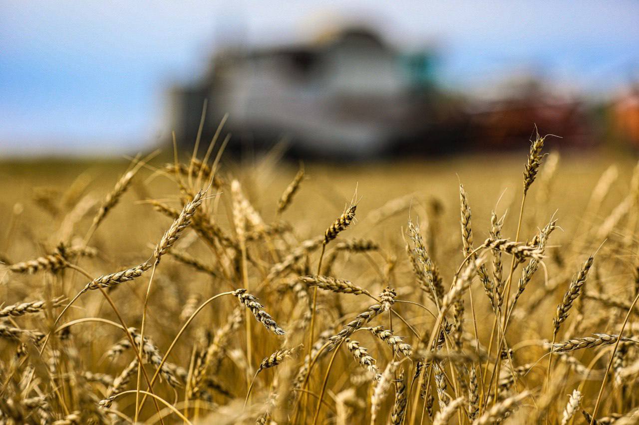 Ақтөбе облысының диқандары егіс науқаны үшін тұқыммен және отынмен толық қамтамасыз етілген