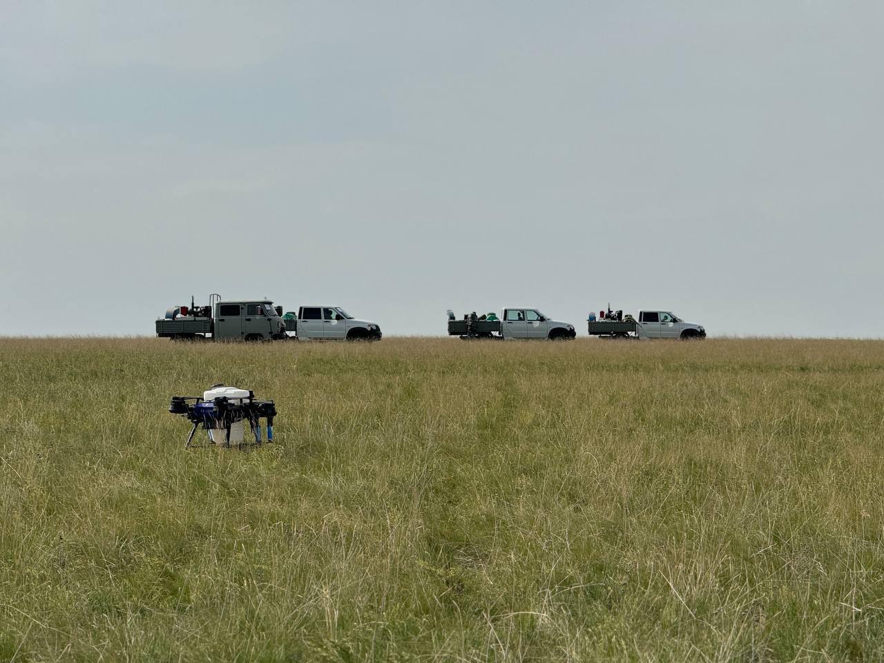 Ақмола облысында ауыл шаруашылығы алқаптарын шегіртке зиянкестерінен қорғау бағытында жоспарлы жұмыстар жүргізілуде.