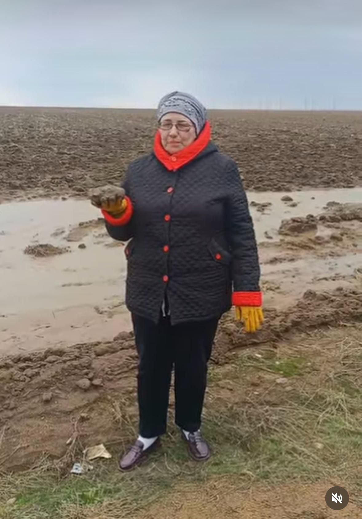 Ақмола жеріне деген адалдықтың 46 жылы: бас агроном Светлана Орехова саналы ғұмырын саланың дамуына арнады