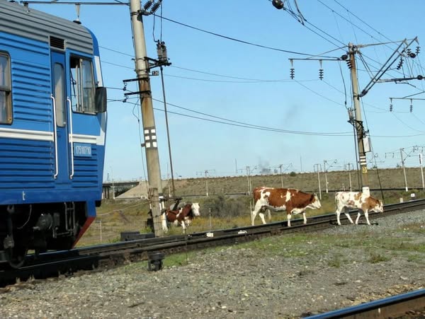 ТЕМІРЖОЛ-ҚАУІПТІ АЙМАҚ !!!