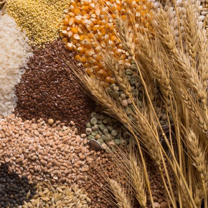 Астық, майлы дақылдар және бұршақ дақылдарын өндірушілерге арналған сауда стратегиясы бойынша ұсыныстар 12.05.2025