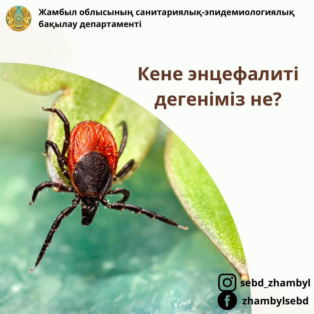 Кене энцефалиті дегеніміз не?