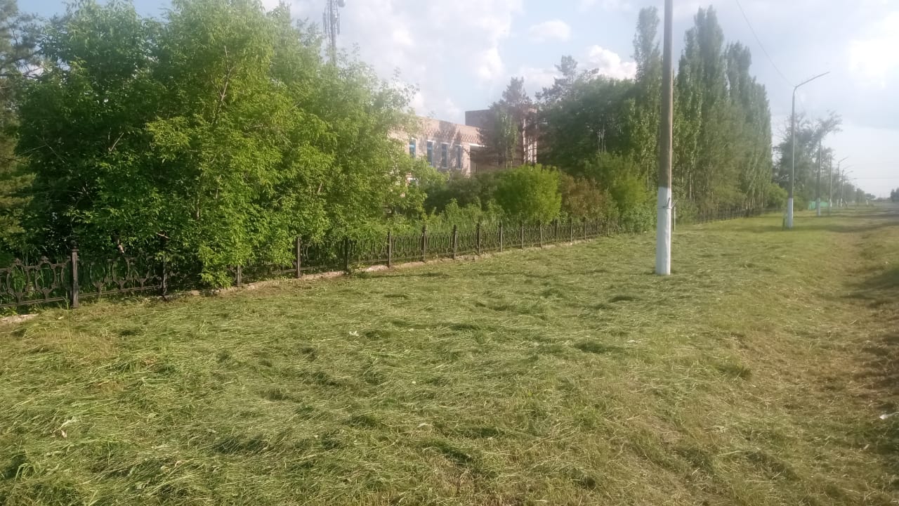 Костряков ауылында «Таза Қазақстан» экологиялық бағдарламасы аясында аумақты абаттандыру жұмыстары жалғасуда.