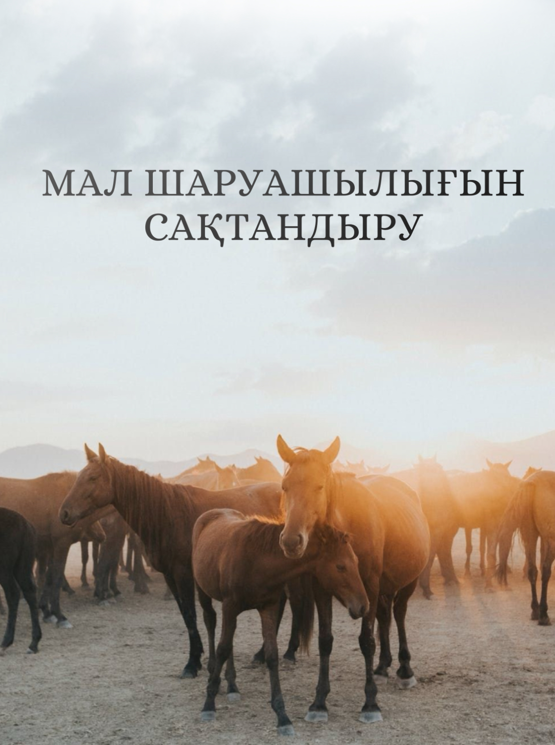 Мал шаруашылығы саласында сақтандыруға өтінім қабылдау жалғасуда