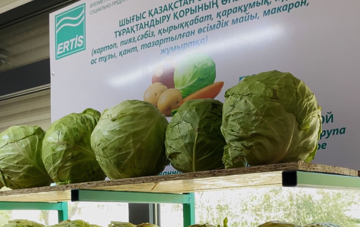 ШҚО-да шілде айының соңына дейін әлеуметтік маңызы бар азық-түлік тауарлары бекітілген бағамен сатылады