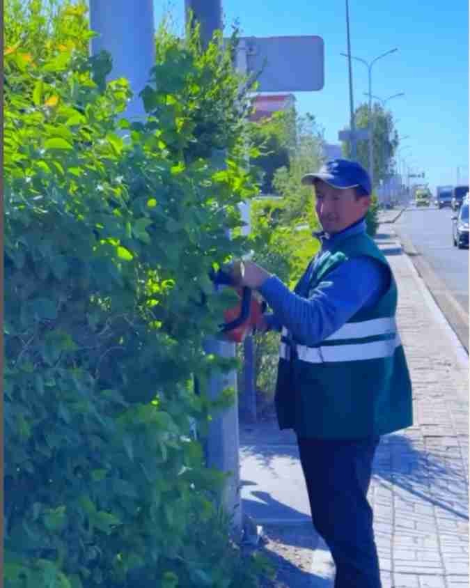 Сарыарқа ауданында жасыл желектерді күтіп-ұстау жұмыстары жүйелі түрде жалғасуда