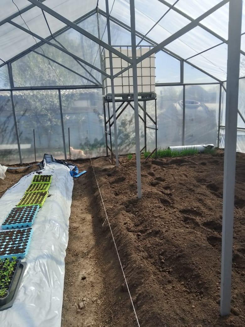Ауыл кәсіпкерлеріне арналған гранттар: «Batys AgroHub» жобасы жылыжай шаруашылығын дамытуға қалай көмектесіп жатыр
