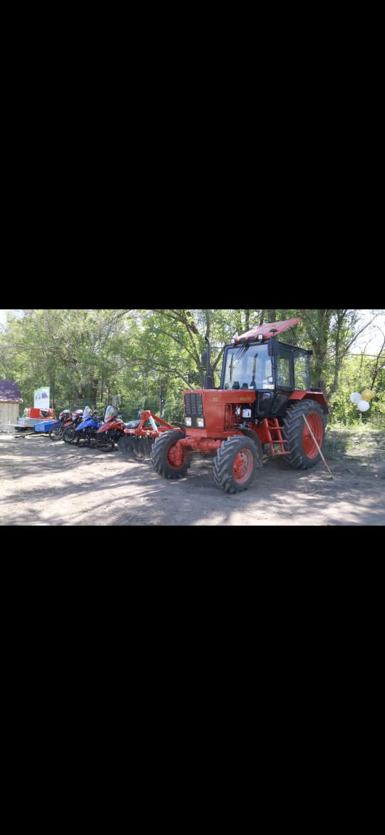Тоқжайлау ауылдық округі Тоқжайлау көпсалалы колледжінің «Тоқсаябақ» алмабағы