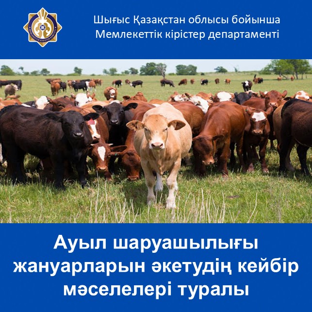 Ауыл шаруашылығы жануарларын әкетудің кейбір мәселелері туралы