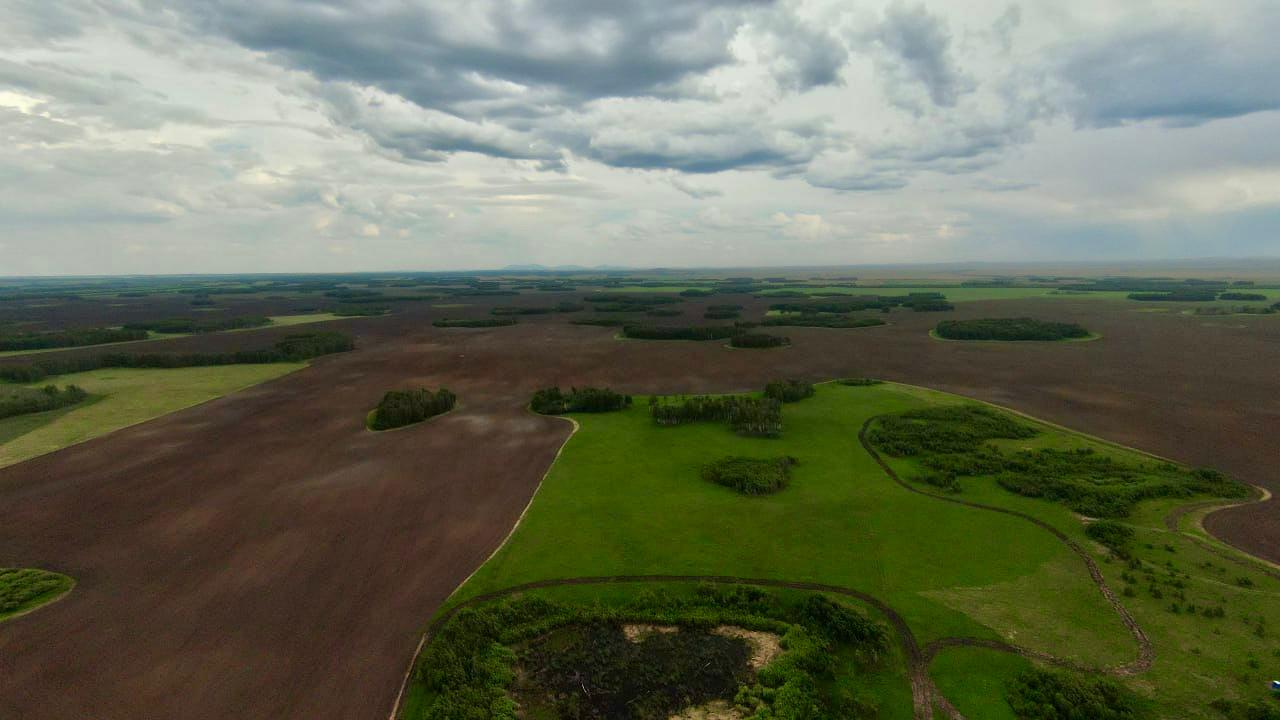 Ақмола облысы көктемгі егіс жұмыстарын аяқтады