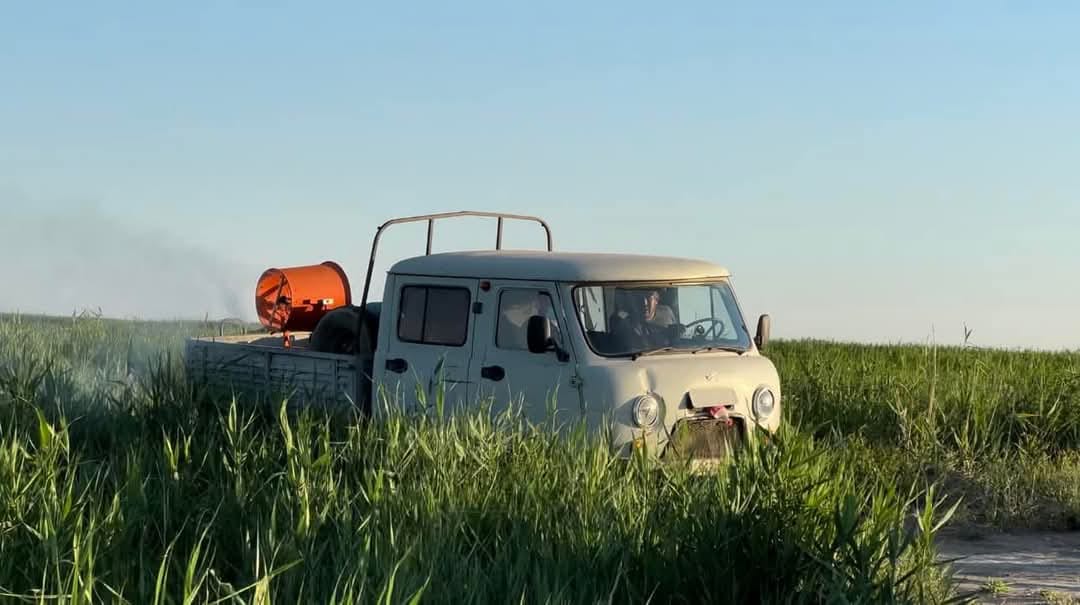 Қызылорда облысында шегіртке зиянкестеріне қарсы 10 мың гектардан астам ауыл шаруашылығы жері өңделді