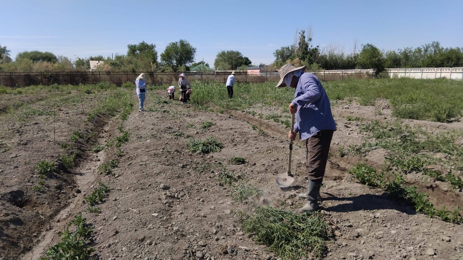 АМАНКЕЛДІ АУЫЛЫНДА СЕНБІЛІК ЖҰМЫСТАРЫ ЖҮРГІЗІЛДІ