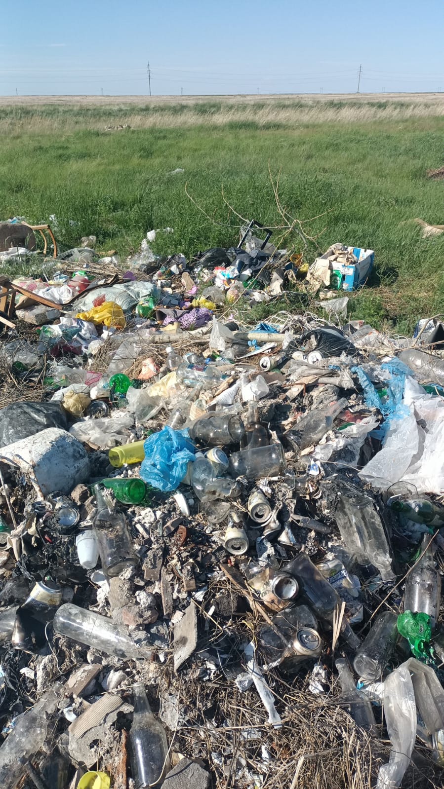 Ғарыш мониторингінің деректері бойынша белгіленген мерзімде жойылған 4 рұқсат етілмеген полигон анықталды.