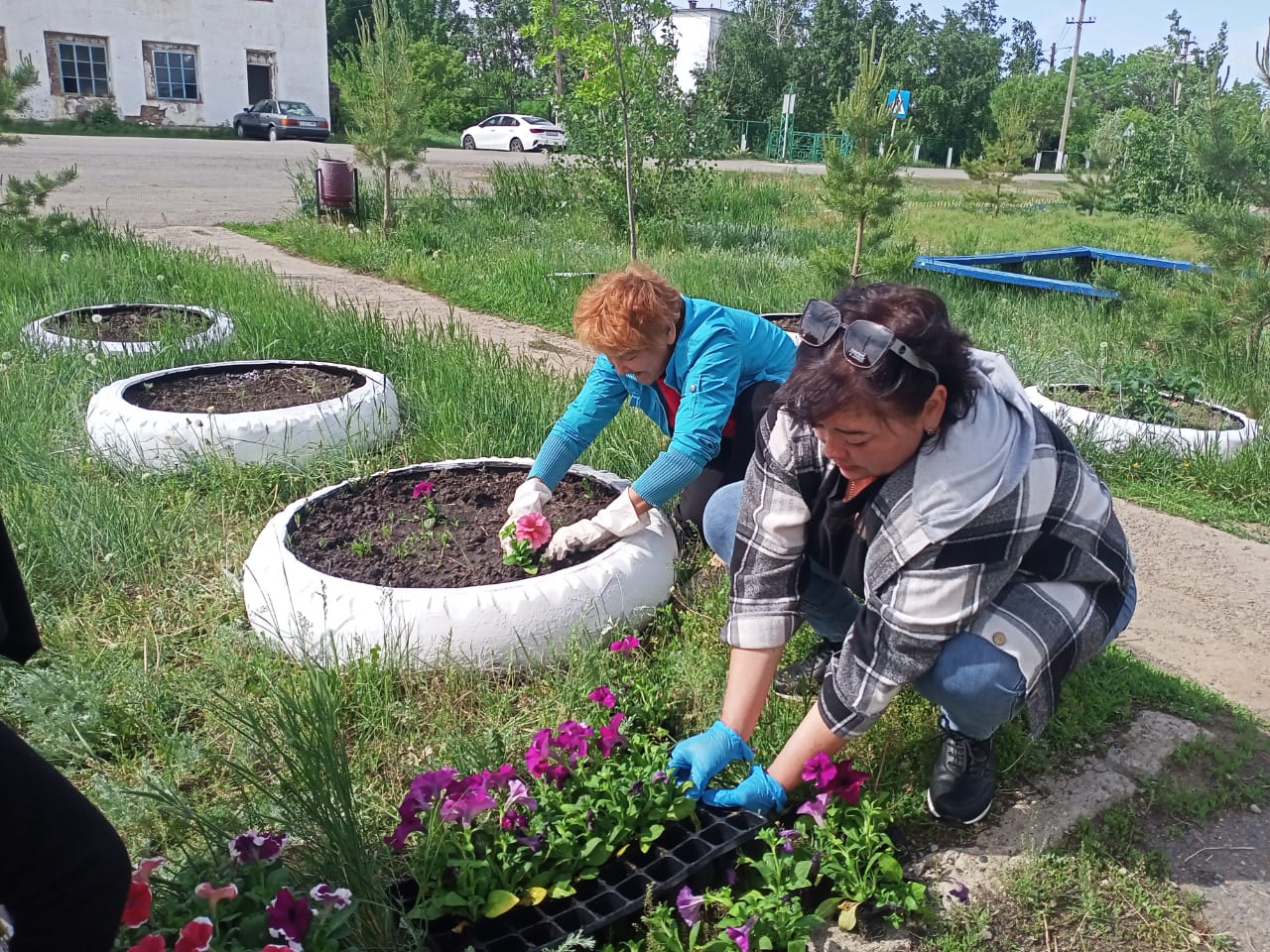 Ауланы абаттандыру жұмыстары