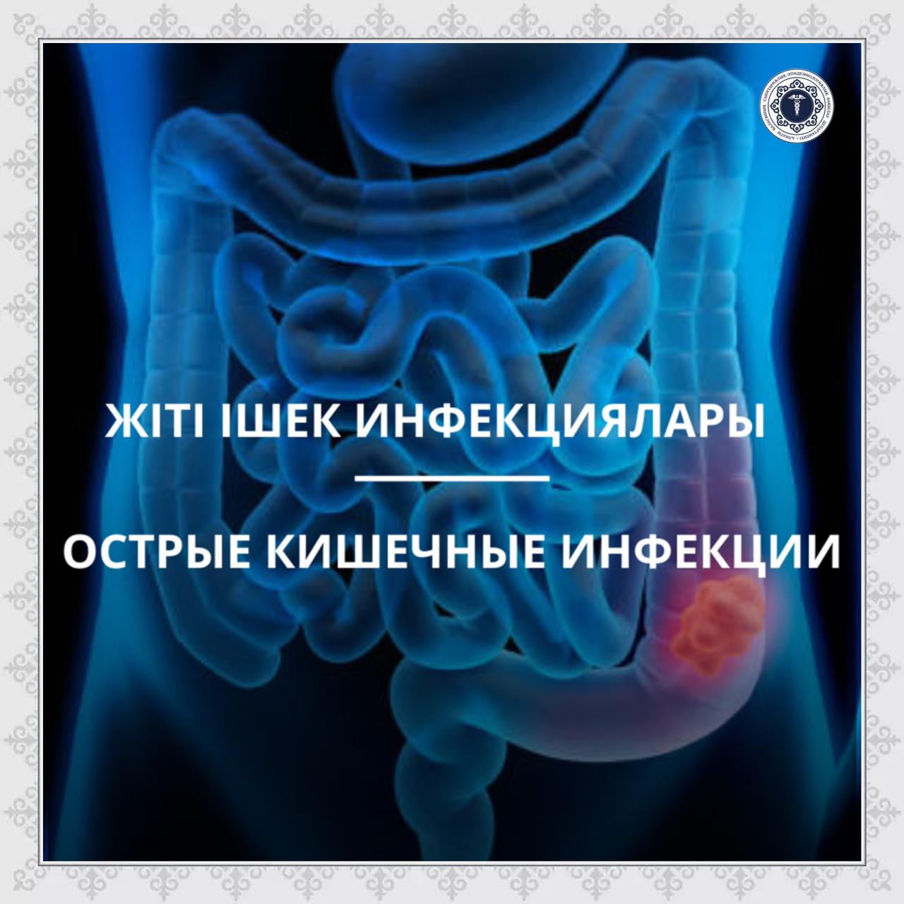 Жіті ішек инфекциялары
