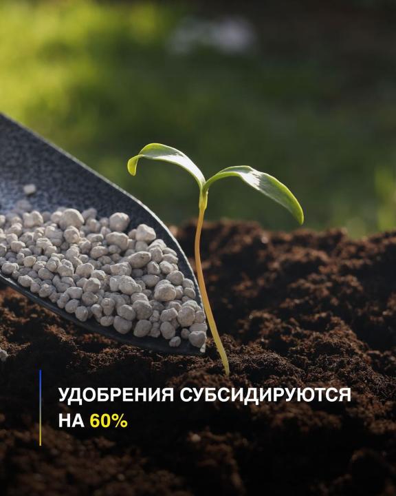ҰЛЫТАУ ОБЛЫСЫНДА ТЫҢАЙТҚЫШТАР 60%-ҒА СУБСИДИЯЛАНДЫ