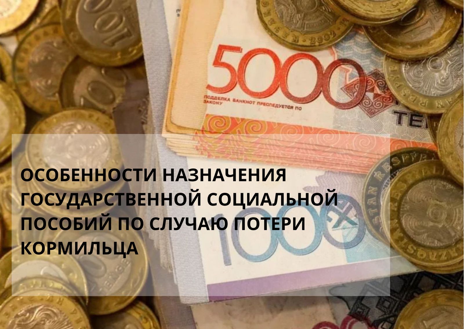 Асыраушысынан айырылу жағдайы бойынша мемлекеттік әлеуметтік жәрдемақы тағайындау ерекшеліктері