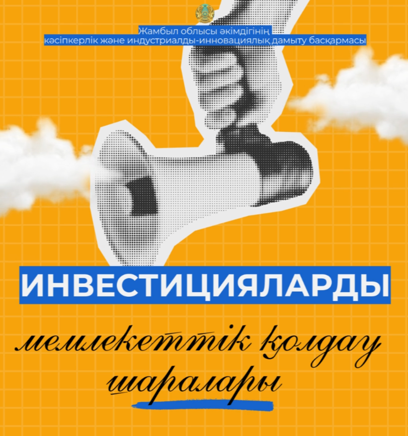 Инвестицияларды мемлекеттік қолдау шаралары
