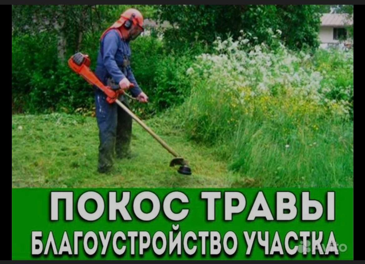 Шөп шабу-көгалдандыру
