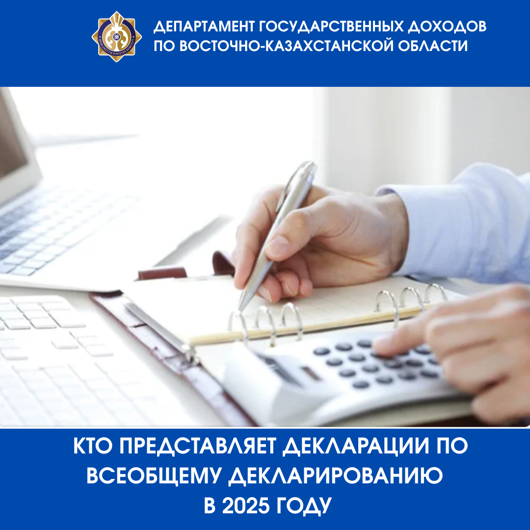 Жалпыға бірдей декларация бойынша декларацияларды кім ұсынады 2025 жылы
