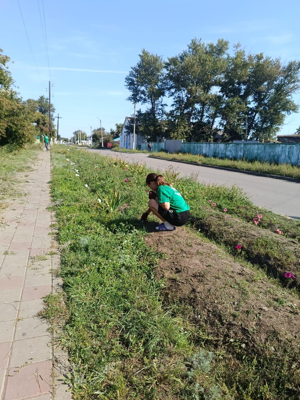 “Жасыл ел” жұмыс барысында