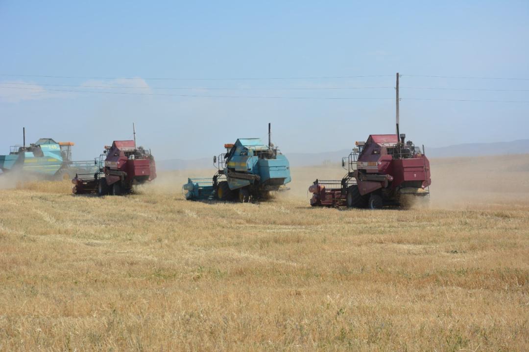Жамбыл облысында 3,8 млн тонна ауыл шаруашылығы өнімін жинау жоспарлануда