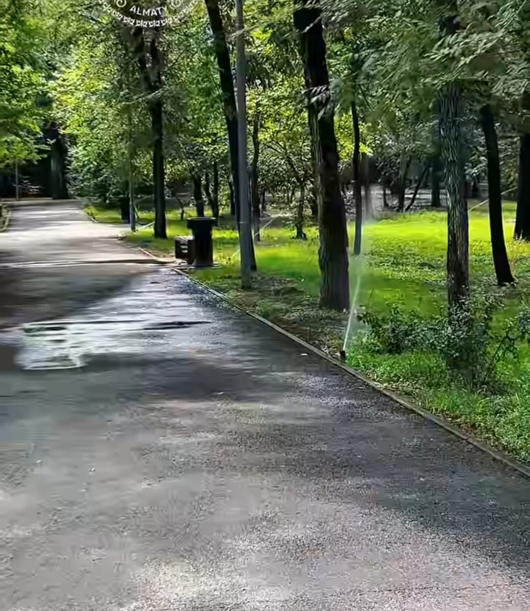 Сейфуллин атындағы саябақта автоматтандырылған суару жүйесі орнатылды