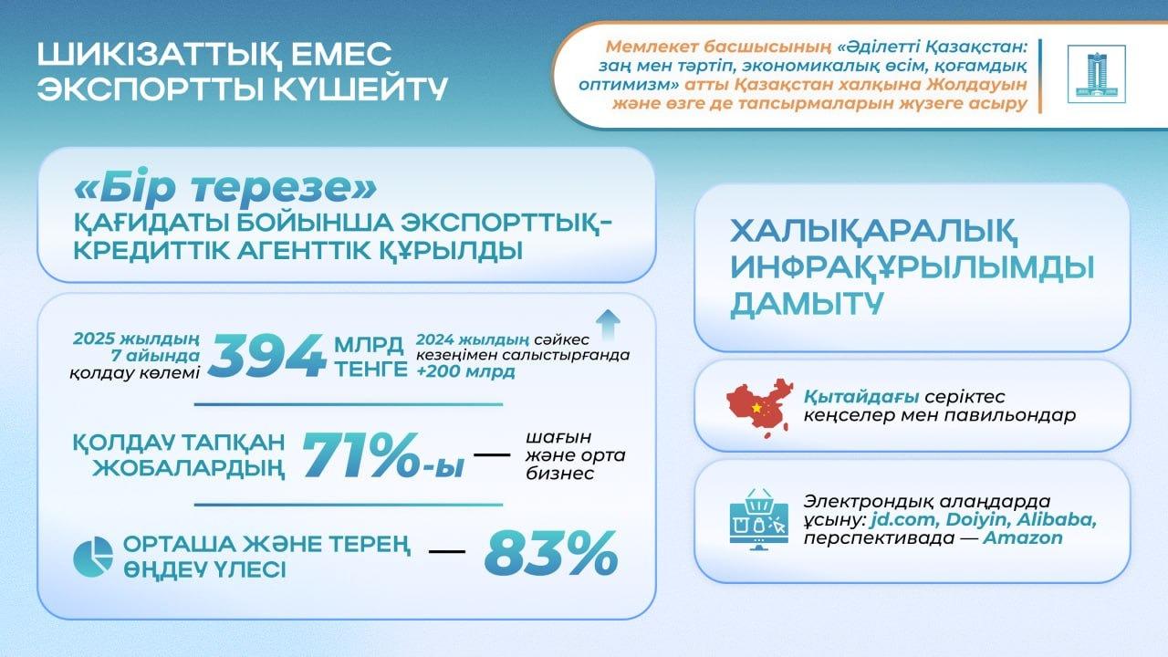 Президент жолдауындағы тапсырмаларды орындау: шикізаттық емес экспортты қаржылай қолдау көлемі 394 млрд теңгеге жетті