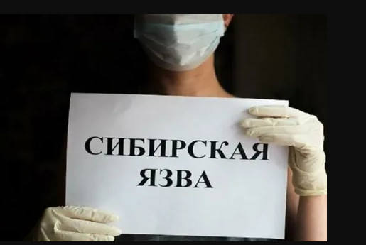 Сібір жарасының алдын алу