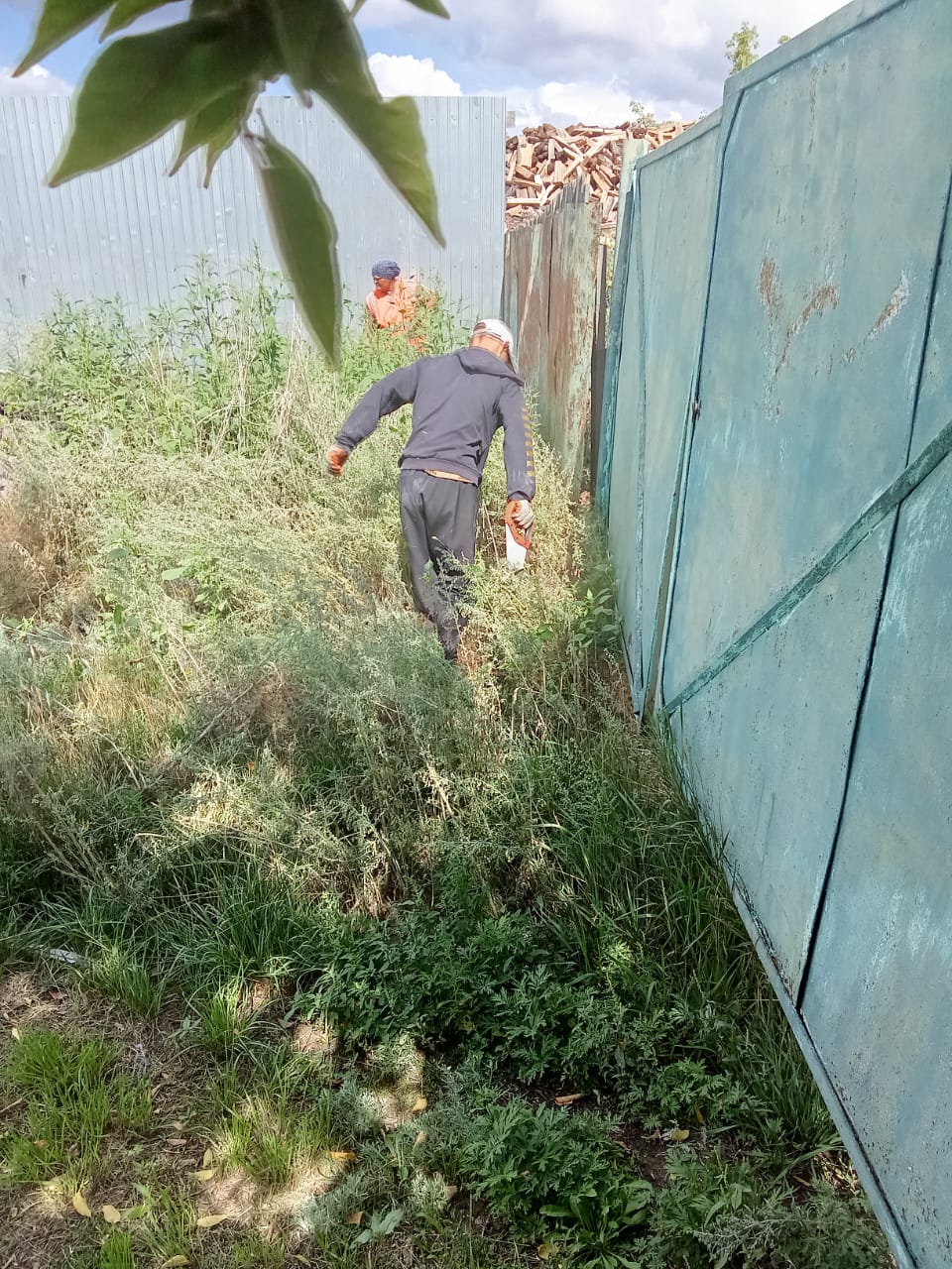Ауылдық округте «Таза Қазақстан» экологиялық бағдарламасы аясында жұмыстар жалғасуда #тазақазақстан