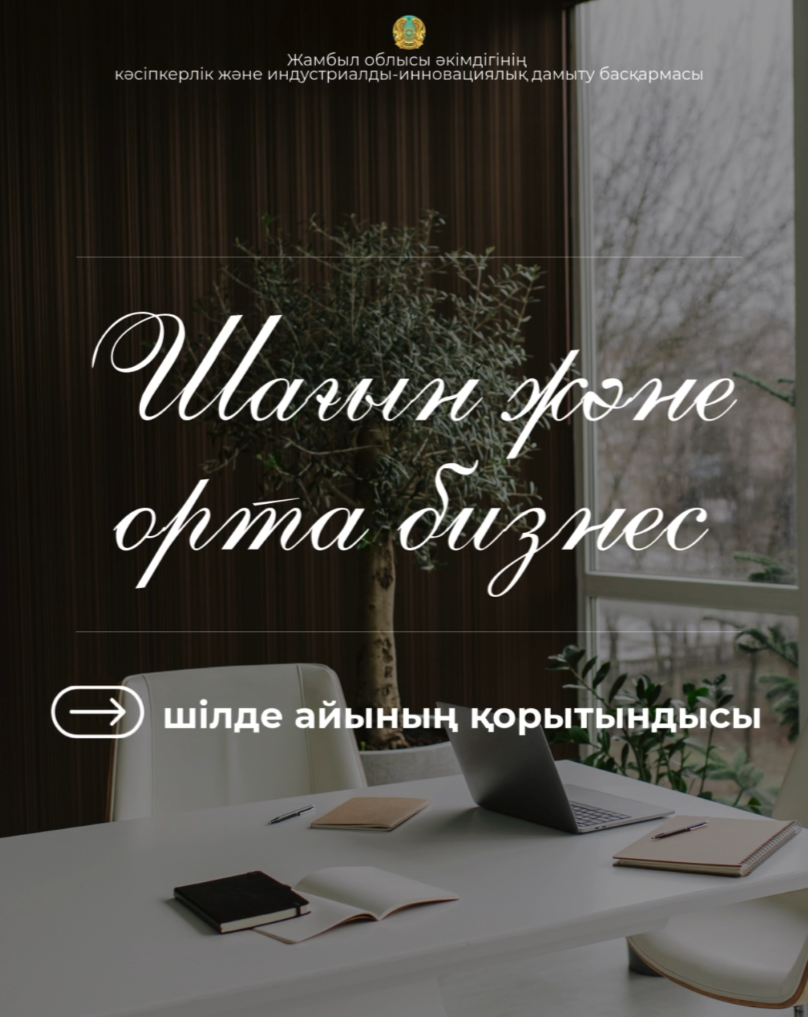 Шағын және орта бизнес бойынша шілде айының қорытындысы