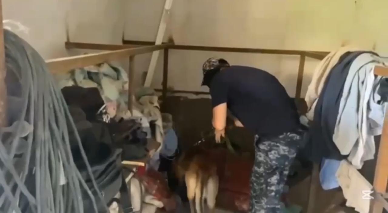 Алматы қаласында психотроптық заттарды таратуға қатысы бар күдіктілер ұсталды