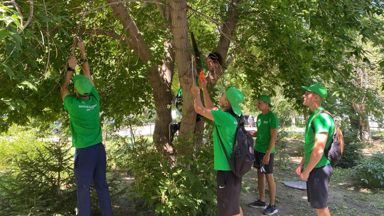 Шемонаиха жастары “Жасыл Ел” жобасы аясында”Таза Қазақстан” акциясына үлес қосуда