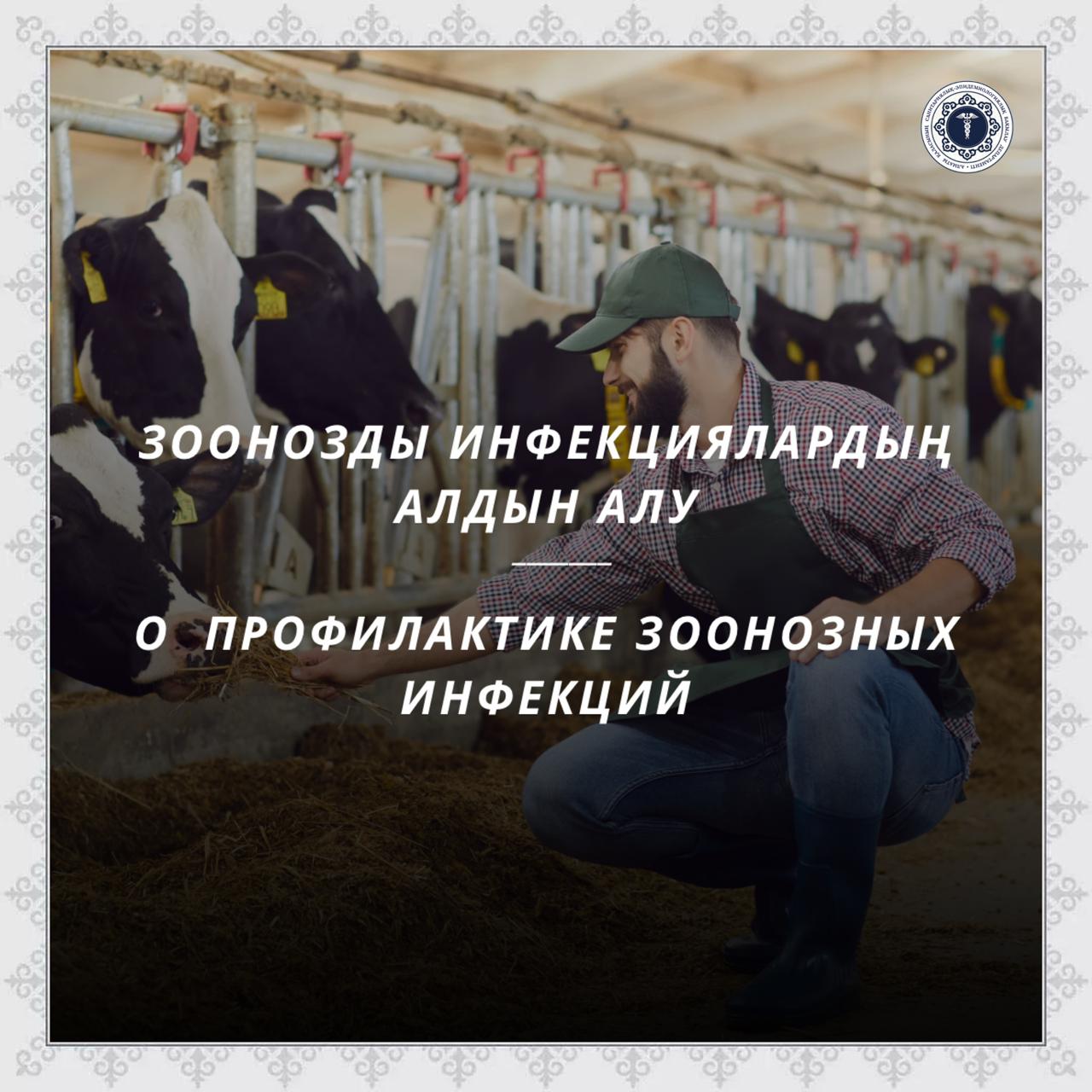 Зоонозды инфекциялардың алдын алу