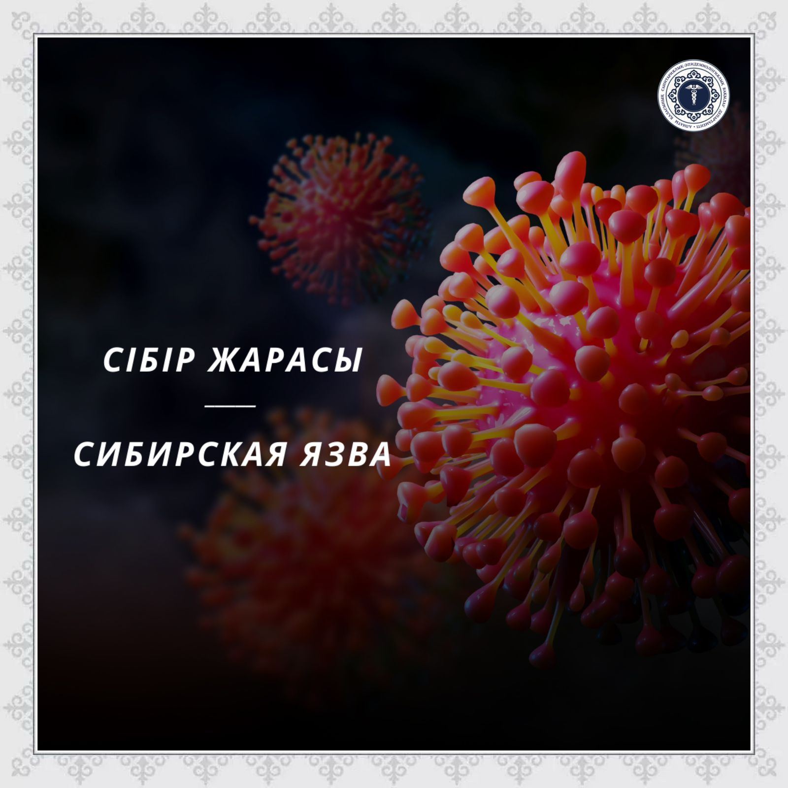 Сібір жарасы