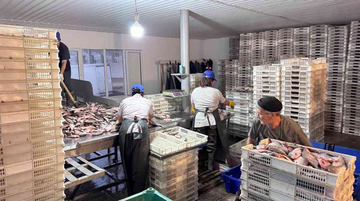 Мойынқұмдағы ірі өндіріс орындарына баспасөз туры ұйымдастырылды