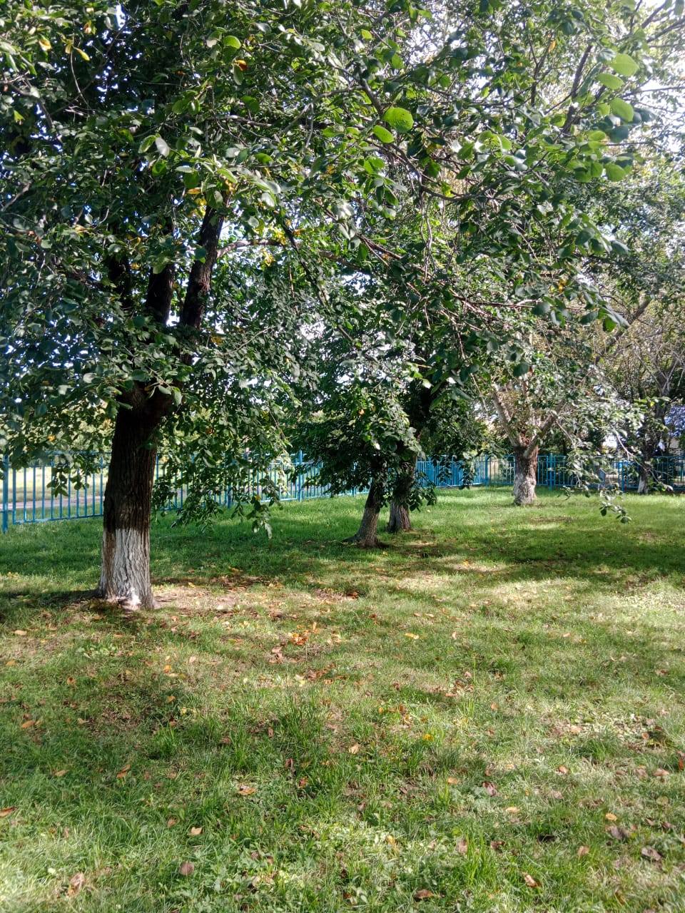 🌿Бүгін, 2025 жылғы 23 тамызда, «Таза Қазақстан» акциясы аясында Налобино ауылдық округінде сенбілік өтті. Іс-шара барысында ескерткіштер мен оларға іргелес аумақты абаттандыру жұмыстары жүргізілді.