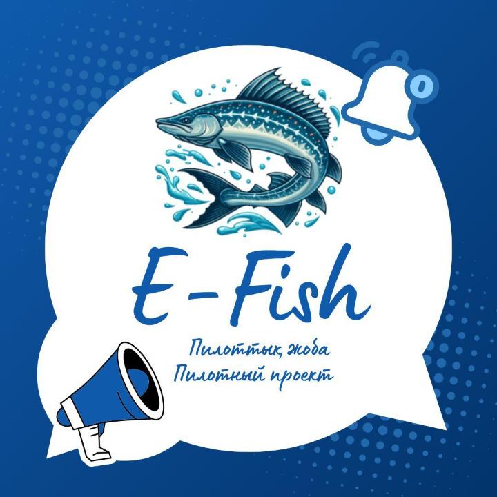 E-fish жүйесінде балық шаруашылығы субъектілерін міндетті тіркеу туралы түзетулер күшіне енді