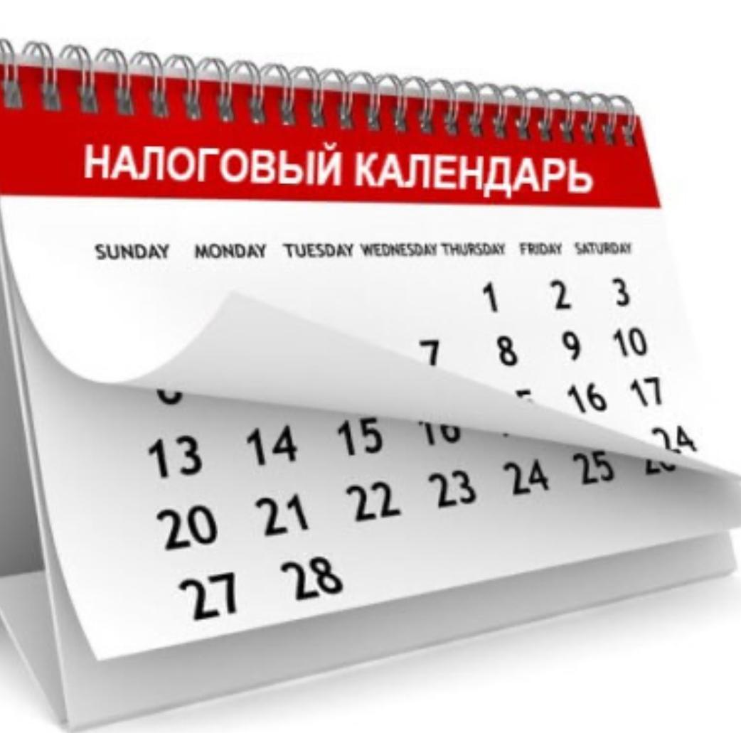 2025 Ж. ТАМЫЗ АЙЫНА САЛЫҚТЫҚ КҮНТІЗБЕ