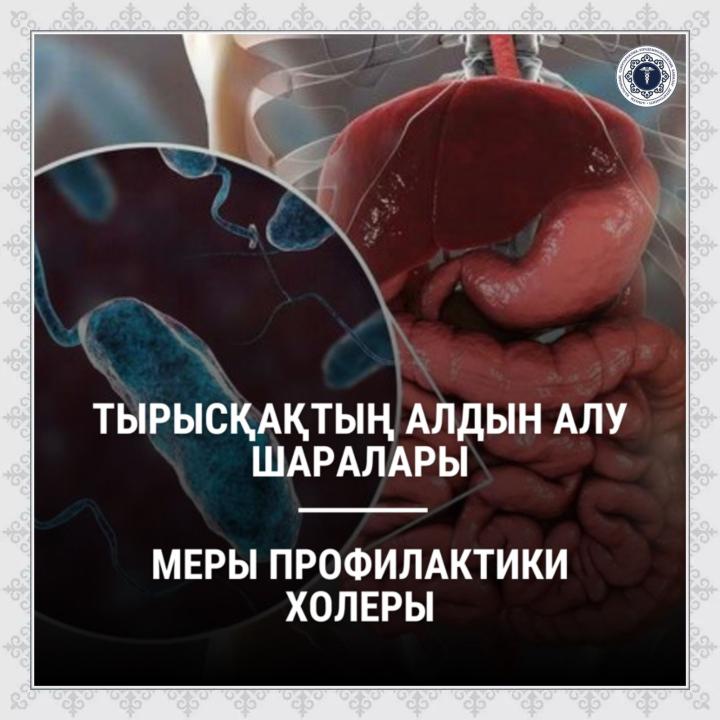 Тырысқақтың алдын алу шаралары