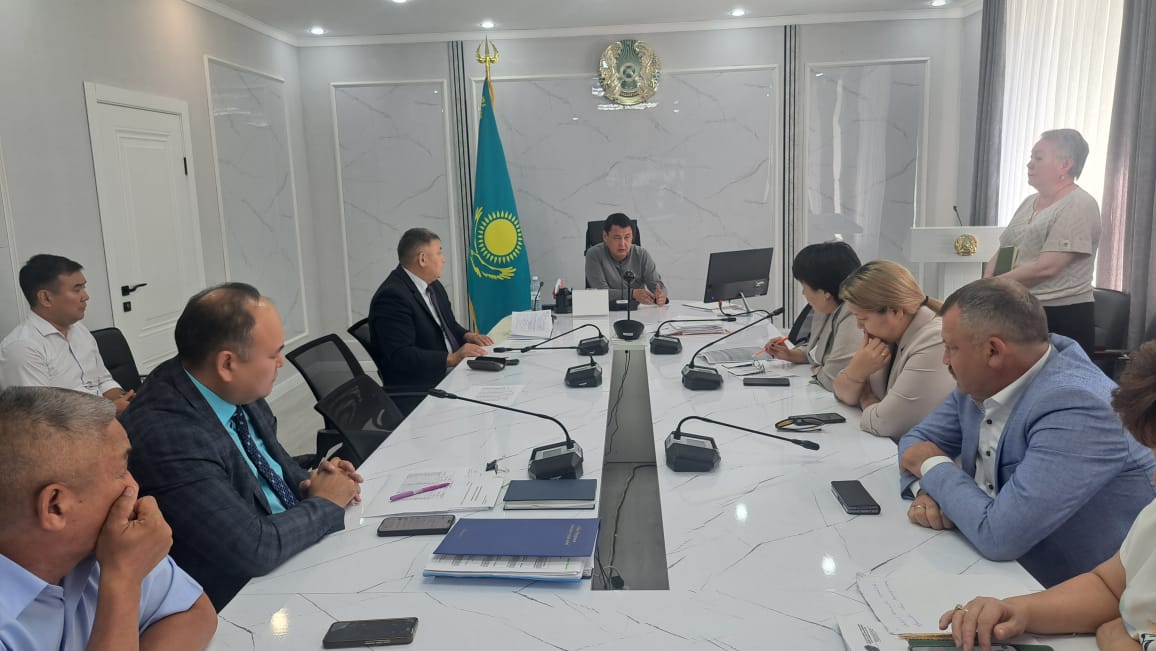 Ағымдағы жылдың 5 тамызында аудандық бөлім басшылары мен ауылдық округ әкімдерімен бейнеконференция режимінде өткен жұмыс кеңесінде атқару тәртібі бойынша отырыс өтті