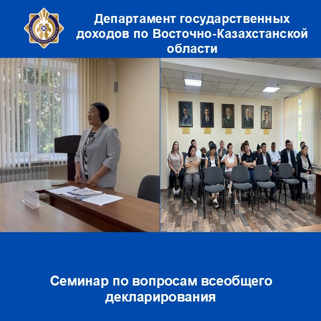 Жалпыға бірдей декларациялау мәселелері бойынша семинар