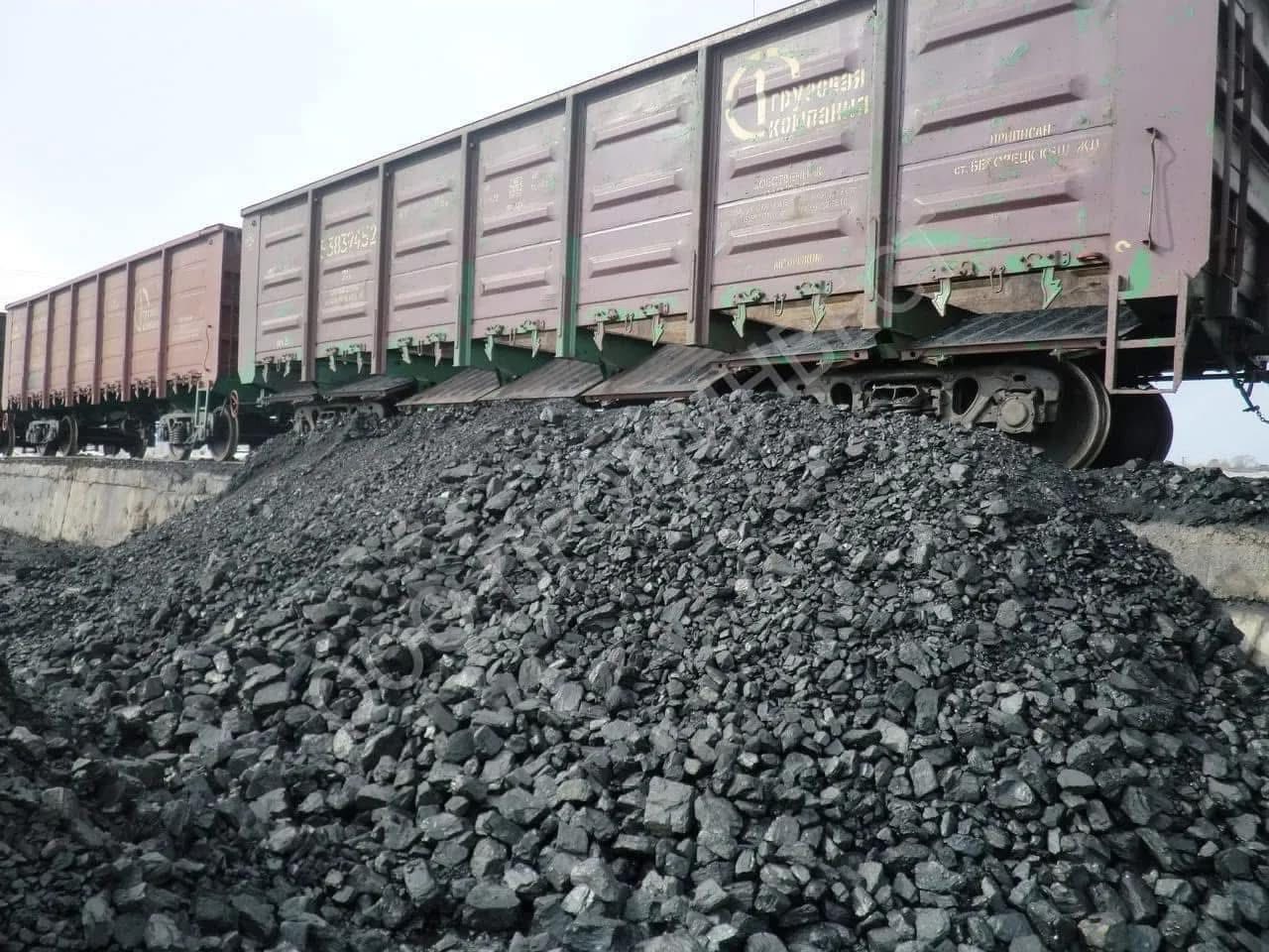 ТҮРКІСТАН ОБЛЫСЫНДА 100 000 ТОННА КӨМІР ҚОРЫ БАР