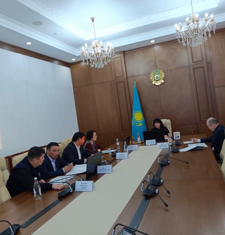 Тқрақты комиссия отырысы