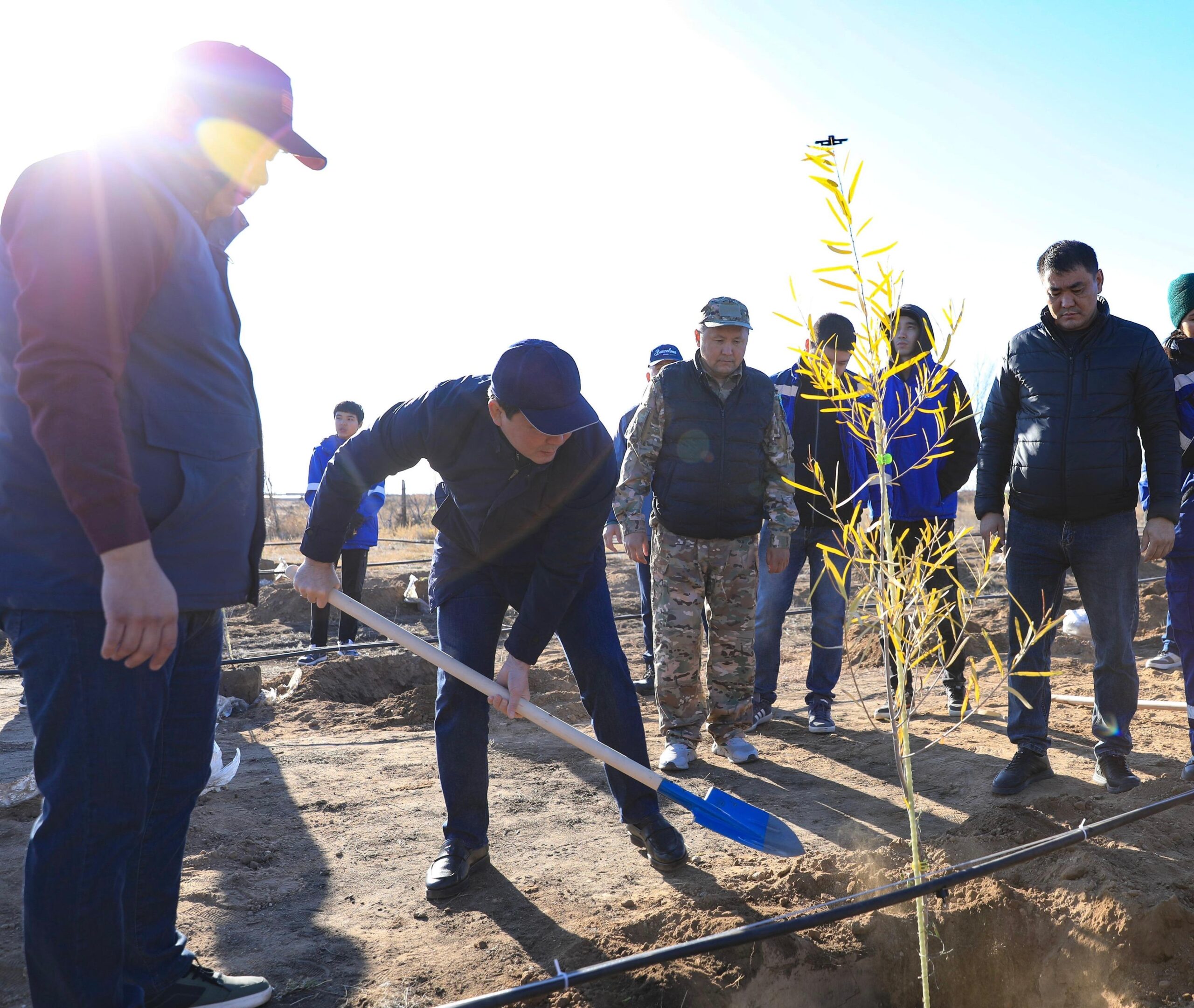 Ақтөбеде алғаш рет климатқа бейім әрі сирек кездесетін тораңғы ағашы отырғызылды